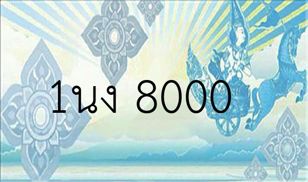 1นง 8000